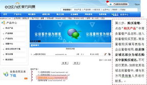 東方網(wǎng)景 專注互聯(lián)網(wǎng)服務(wù)十余年，成就企業(yè)信賴之選