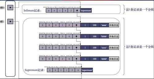MySQL是怎樣運行的 從根兒上理解MySQL學(xué)習(xí)筆記（一）——互聯(lián)網(wǎng)域名根服務(wù)器運行的啟示